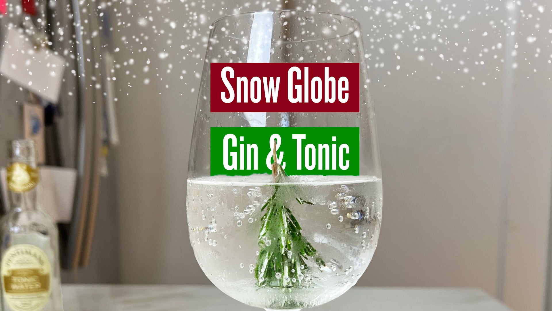 Snow Globe Gin & Tonic Recipe – Ficks Beverage Co