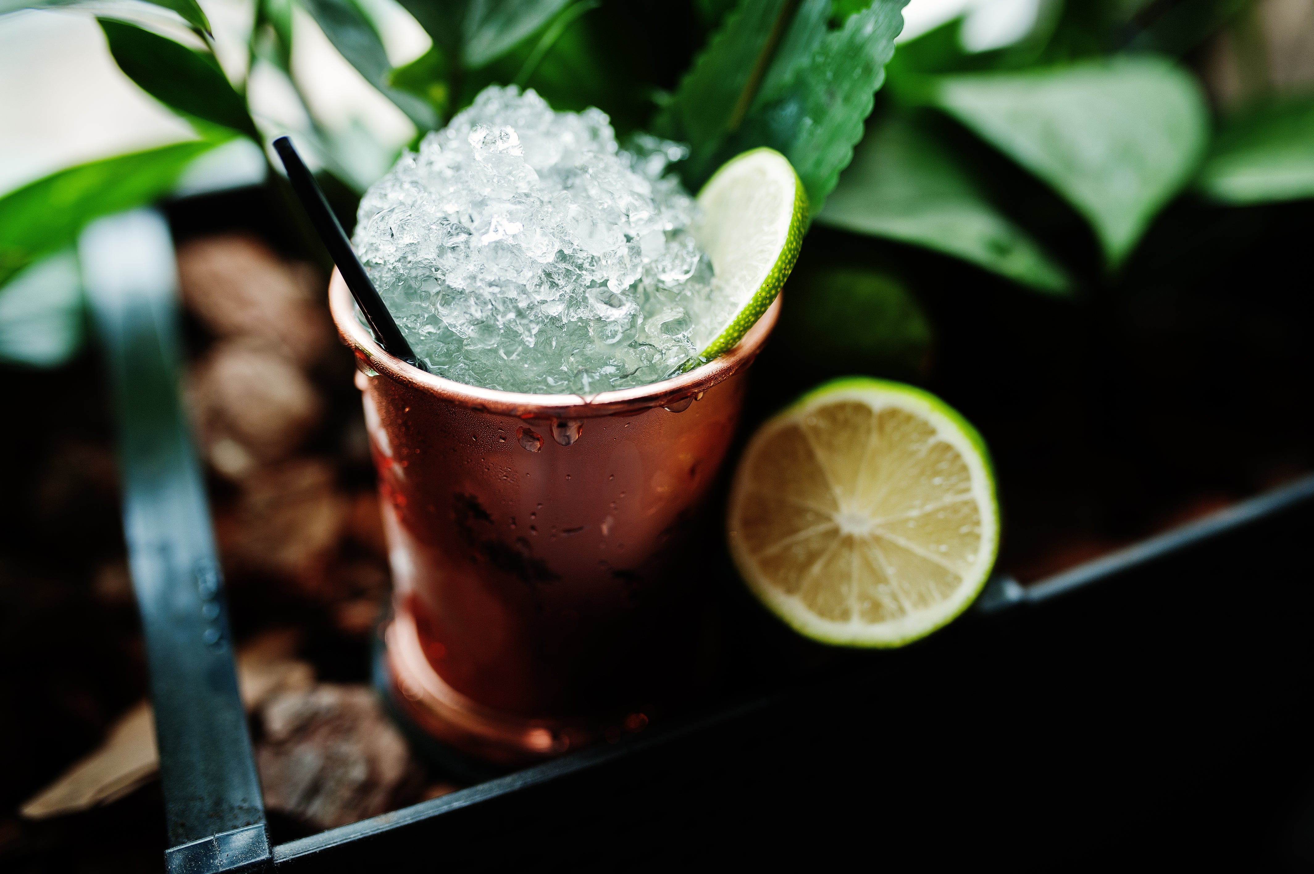 Mint Julep
