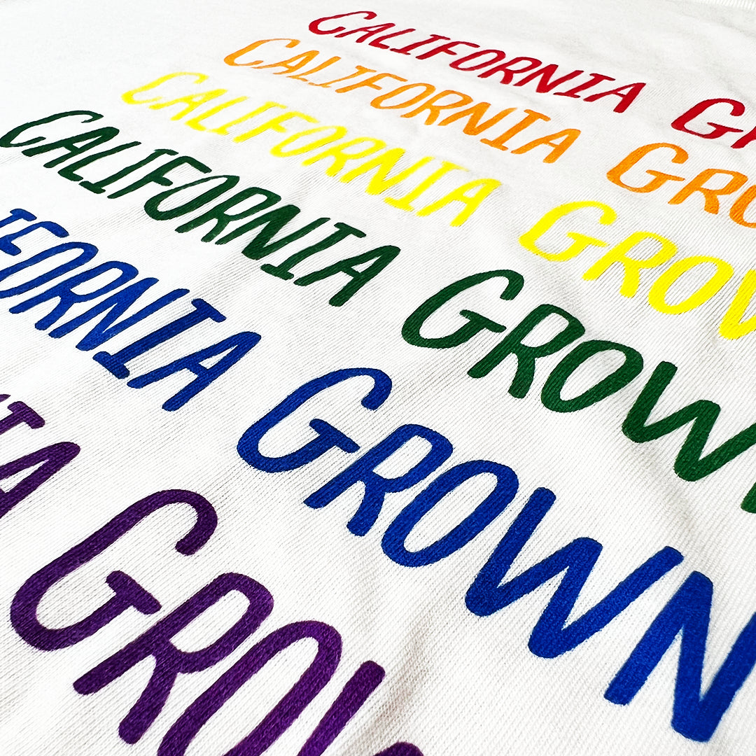 FICKS Pride Tee